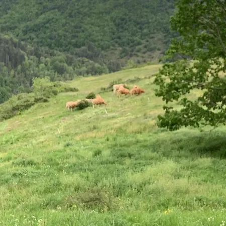 Maison Insolite De Mi-montagne 別荘 Pebrac