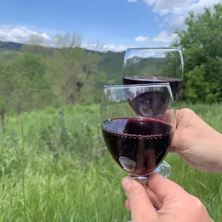 Maison Insolite De Mi-montagne Pebrac