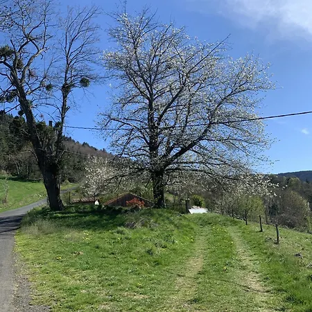 別荘 Maison Insolite De Mi-montagne Pebrac