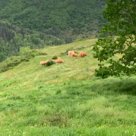 Maison Insolite De Mi-montagne Pebrac