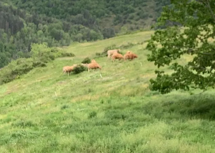 Maison Insolite De Mi-montagne Holiday home Pebrac