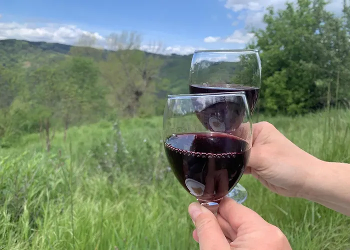 Maison Insolite De Mi-montagne Pebrac