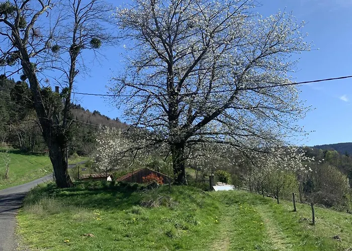 Holiday home Maison Insolite De Mi-montagne Pebrac